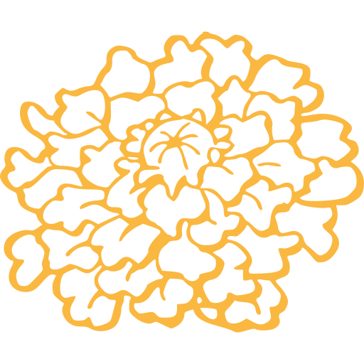 Edmontonian Social Hub